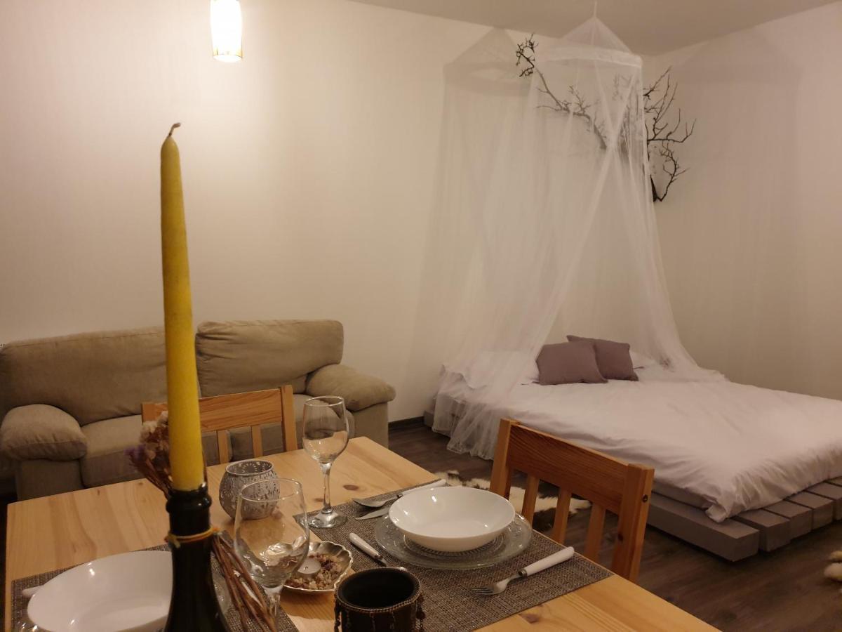 Cluj City Iris Appartment Eksteriør billede