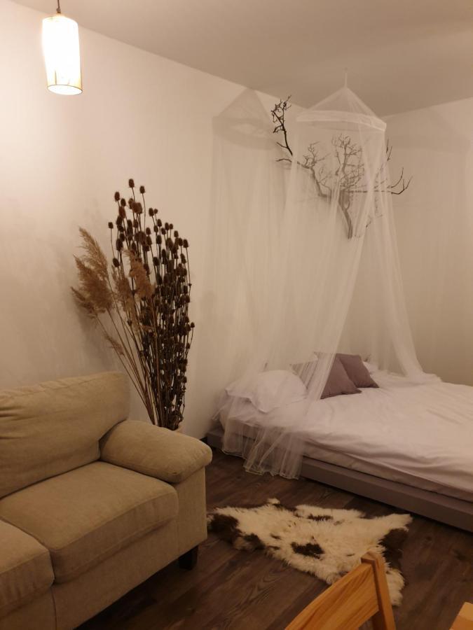 Cluj City Iris Appartment Eksteriør billede