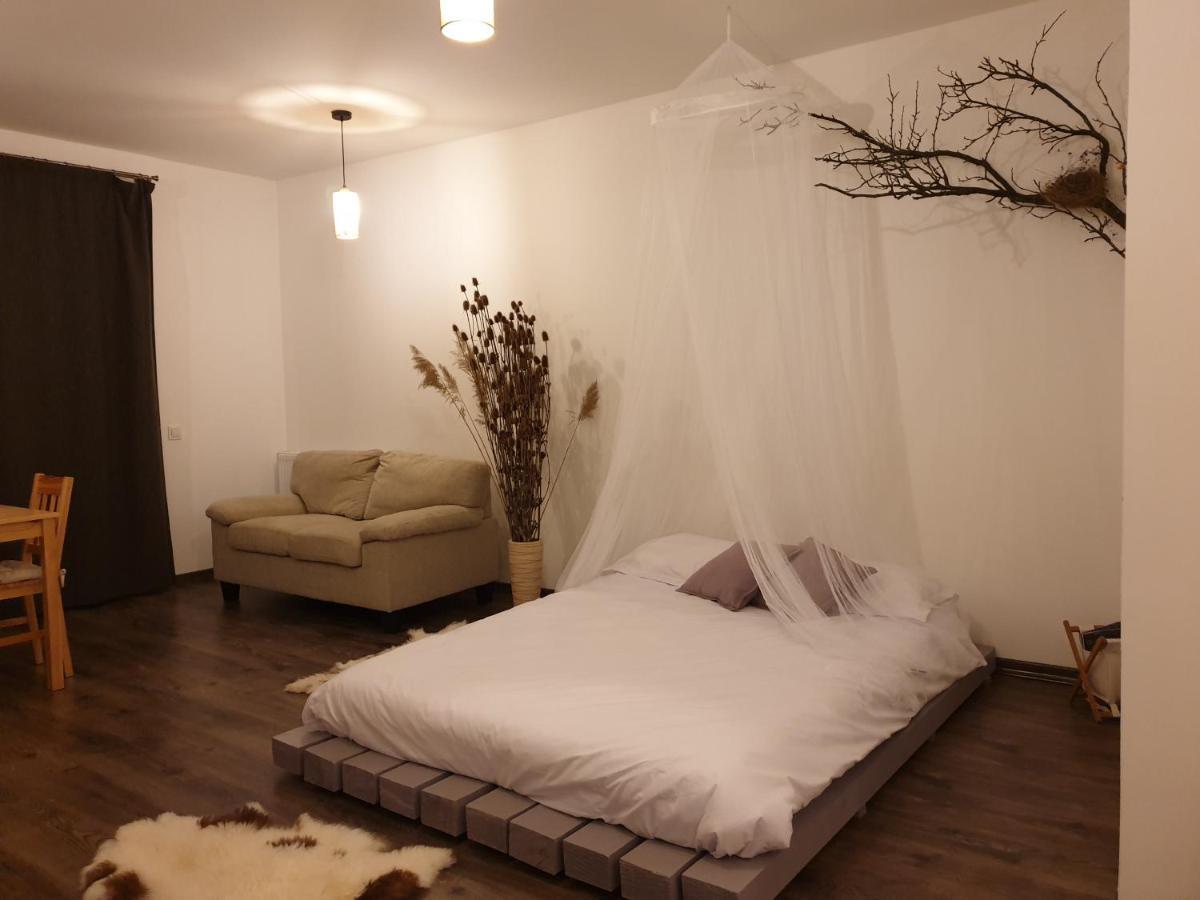 Cluj City Iris Appartment Eksteriør billede