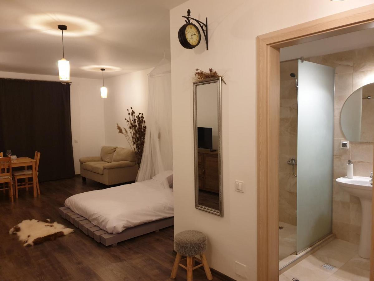 Cluj City Iris Appartment Eksteriør billede